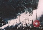 Standbild 7 Marine Regiment Peleliu Palau Inseln, 1944, aus Sekunde 11 historischem Filmmaterial Videoclip 65675022873