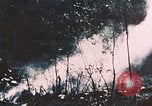 Standbild 7 Marine Regiment Peleliu Palau Inseln, 1944, aus Sekunde 12 historischem Filmmaterial Videoclip 65675022873