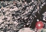Standbild 7 Marine Regiment Peleliu Palau Inseln, 1944, aus Sekunde 13 historischem Filmmaterial Videoclip 65675022873