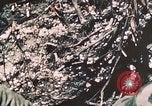 Standbild 7 Marine Regiment Peleliu Palau Inseln, 1944, aus Sekunde 18 historischem Filmmaterial Videoclip 65675022873