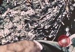 Standbild 7 Marine Regiment Peleliu Palau Inseln, 1944, aus Sekunde 19 historischem Filmmaterial Videoclip 65675022873