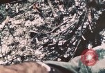 Standbild 7 Marine Regiment Peleliu Palau Inseln, 1944, aus Sekunde 20 historischem Filmmaterial Videoclip 65675022873