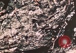 Standbild 7 Marine Regiment Peleliu Palau Inseln, 1944, aus Sekunde 26 historischem Filmmaterial Videoclip 65675022873