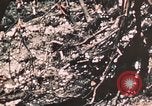 Standbild 7 Marine Regiment Peleliu Palau Inseln, 1944, aus Sekunde 27 historischem Filmmaterial Videoclip 65675022873