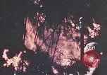 Image of 7th Marine Regiment Peleliu Palau Islands, 1944, second 17 stock footage video 65675022874