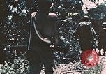 Image of 7th Marine Regiment Peleliu Palau Islands, 1944, second 58 stock footage video 65675022874