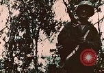 Image of US 7th Marine Regiment Peleliu Palau Islands, 1944, second 7 stock footage video 65675022875