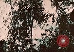 Image of US 7th Marine Regiment Peleliu Palau Islands, 1944, second 9 stock footage video 65675022875