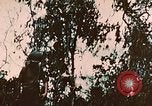Image of US 7th Marine Regiment Peleliu Palau Islands, 1944, second 10 stock footage video 65675022875