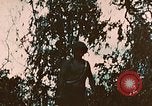 Image of US 7th Marine Regiment Peleliu Palau Islands, 1944, second 11 stock footage video 65675022875