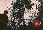 Image of US 7th Marine Regiment Peleliu Palau Islands, 1944, second 13 stock footage video 65675022875