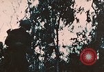 Image of US 7th Marine Regiment Peleliu Palau Islands, 1944, second 14 stock footage video 65675022875