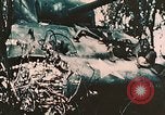 Image of US 7th Marine Regiment Peleliu Palau Islands, 1944, second 20 stock footage video 65675022875