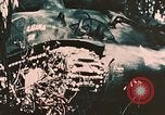 Image of US 7th Marine Regiment Peleliu Palau Islands, 1944, second 22 stock footage video 65675022875