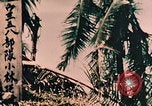 Image 7e Régiment de Marines Peleliu îles Palau, 1944, de la seconde 3 séquences d'archives historiques vidéo 65675022876