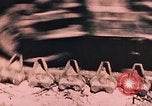 Image 7e Régiment de Marines Peleliu îles Palau, 1944, de la seconde 14 séquences d'archives historiques vidéo 65675022876