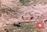 Image of US Marine Aircraft  Group 11 Peleliu Palau Islands, 1944, second 26 stock footage video 65675022877