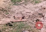 Image of US Marine Aircraft  Group 11 Peleliu Palau Islands, 1944, second 27 stock footage video 65675022877