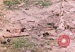 Image of US Marine Aircraft  Group 11 Peleliu Palau Islands, 1944, second 29 stock footage video 65675022877