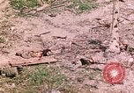 Image of US Marine Aircraft  Group 11 Peleliu Palau Islands, 1944, second 30 stock footage video 65675022877
