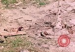 Image of US Marine Aircraft  Group 11 Peleliu Palau Islands, 1944, second 31 stock footage video 65675022877