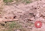 Image of US Marine Aircraft  Group 11 Peleliu Palau Islands, 1944, second 32 stock footage video 65675022877