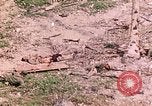 Image of US Marine Aircraft  Group 11 Peleliu Palau Islands, 1944, second 33 stock footage video 65675022877
