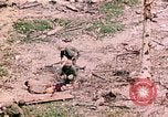 Image of US Marine Aircraft  Group 11 Peleliu Palau Islands, 1944, second 34 stock footage video 65675022877