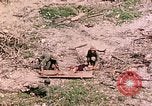 Image of US Marine Aircraft  Group 11 Peleliu Palau Islands, 1944, second 39 stock footage video 65675022877