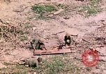 Image of US Marine Aircraft  Group 11 Peleliu Palau Islands, 1944, second 40 stock footage video 65675022877