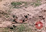 Image of US Marine Aircraft  Group 11 Peleliu Palau Islands, 1944, second 42 stock footage video 65675022877