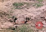 Image of US Marine Aircraft  Group 11 Peleliu Palau Islands, 1944, second 43 stock footage video 65675022877