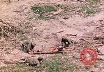 Image of US Marine Aircraft  Group 11 Peleliu Palau Islands, 1944, second 44 stock footage video 65675022877