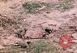 Image of US Marine Aircraft  Group 11 Peleliu Palau Islands, 1944, second 45 stock footage video 65675022877