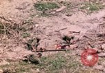 Image of US Marine Aircraft  Group 11 Peleliu Palau Islands, 1944, second 46 stock footage video 65675022877