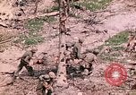 Image of US Marine Aircraft  Group 11 Peleliu Palau Islands, 1944, second 48 stock footage video 65675022877