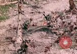 Image of US Marine Aircraft  Group 11 Peleliu Palau Islands, 1944, second 49 stock footage video 65675022877