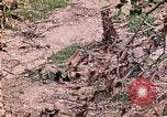 Image of US Marine Aircraft  Group 11 Peleliu Palau Islands, 1944, second 50 stock footage video 65675022877