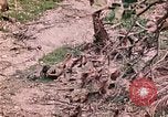 Image of US Marine Aircraft  Group 11 Peleliu Palau Islands, 1944, second 52 stock footage video 65675022877