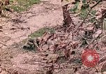 Image of US Marine Aircraft  Group 11 Peleliu Palau Islands, 1944, second 53 stock footage video 65675022877