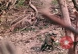 Image of US Marine Aircraft  Group 11 Peleliu Palau Islands, 1944, second 55 stock footage video 65675022877