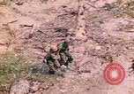 Image of US Marine Aircraft  Group 11 Peleliu Palau Islands, 1944, second 59 stock footage video 65675022877