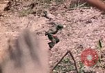 Image of US Marine Aircraft  Group 11 Peleliu Palau Islands, 1944, second 62 stock footage video 65675022877