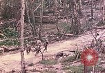 Image of 11th Marine Aircraft group Peleliu Palau Islands, 1944, second 41 stock footage video 65675022879
