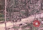 Image of 11th Marine Aircraft group Peleliu Palau Islands, 1944, second 42 stock footage video 65675022879
