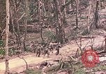 Image of 11th Marine Aircraft group Peleliu Palau Islands, 1944, second 43 stock footage video 65675022879