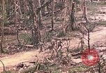 Image of 11th Marine Aircraft group Peleliu Palau Islands, 1944, second 45 stock footage video 65675022879