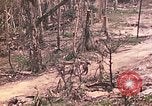 Image of 11th Marine Aircraft group Peleliu Palau Islands, 1944, second 46 stock footage video 65675022879