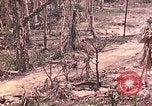 Image of 11th Marine Aircraft group Peleliu Palau Islands, 1944, second 47 stock footage video 65675022879