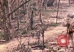 Image of 11th Marine Aircraft group Peleliu Palau Islands, 1944, second 48 stock footage video 65675022879